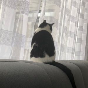 Meet your Posher, Lois